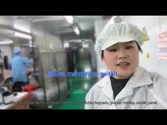 Interruptor de membrana PET personalizado para equipos médicos y aplicaciones industriales